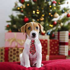 ADOGGYGO corbatín navidad para perro rojo a cuadros, ajuste cómodo y seguro