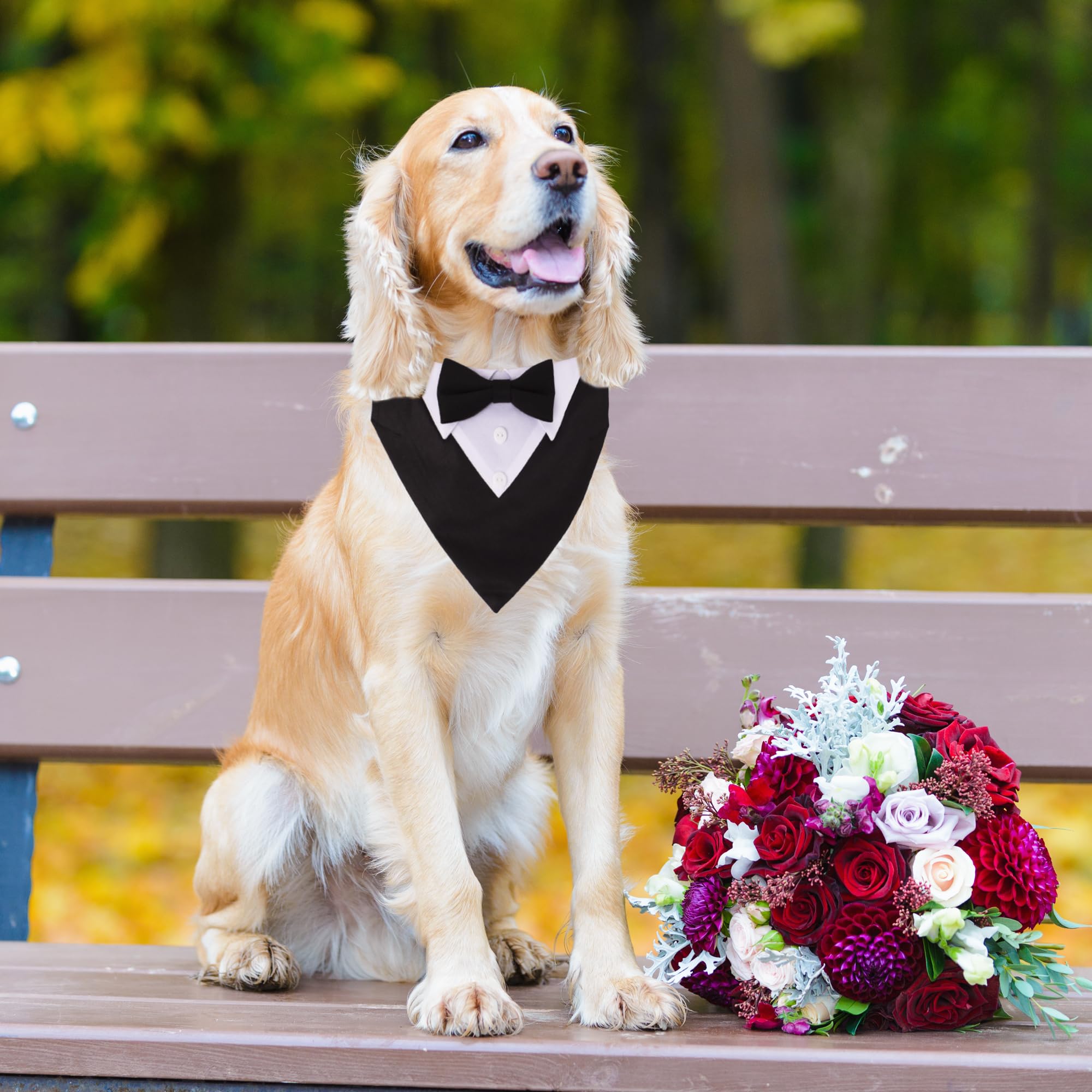 ADOGGYGO corbatín negro para perros; sensación elegante y ajuste cómodo para fiestas.