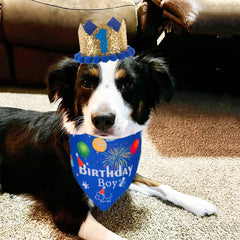 ADOGGYGO corona azul para cumpleaños canino, decoración festiva y fácil de usar