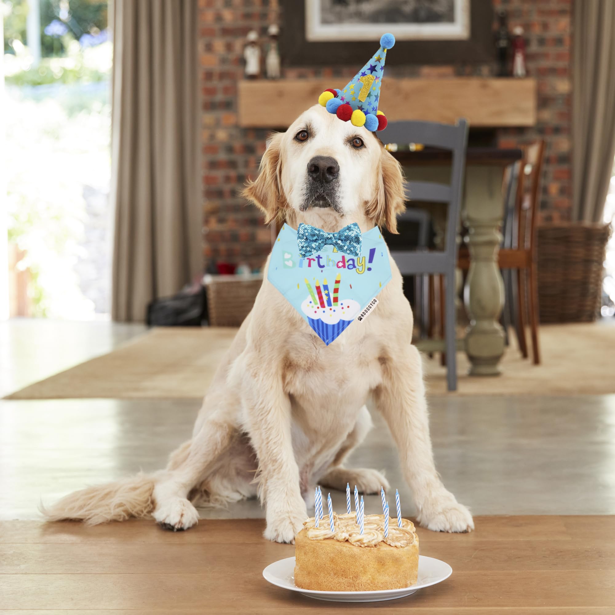 Sombrero de fiesta ADOGGYGO para perro XL, ajustable y festivo.