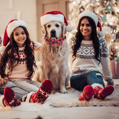 ADOGGYGO lazo desmontable para adaptar el estilo durante las fiestas