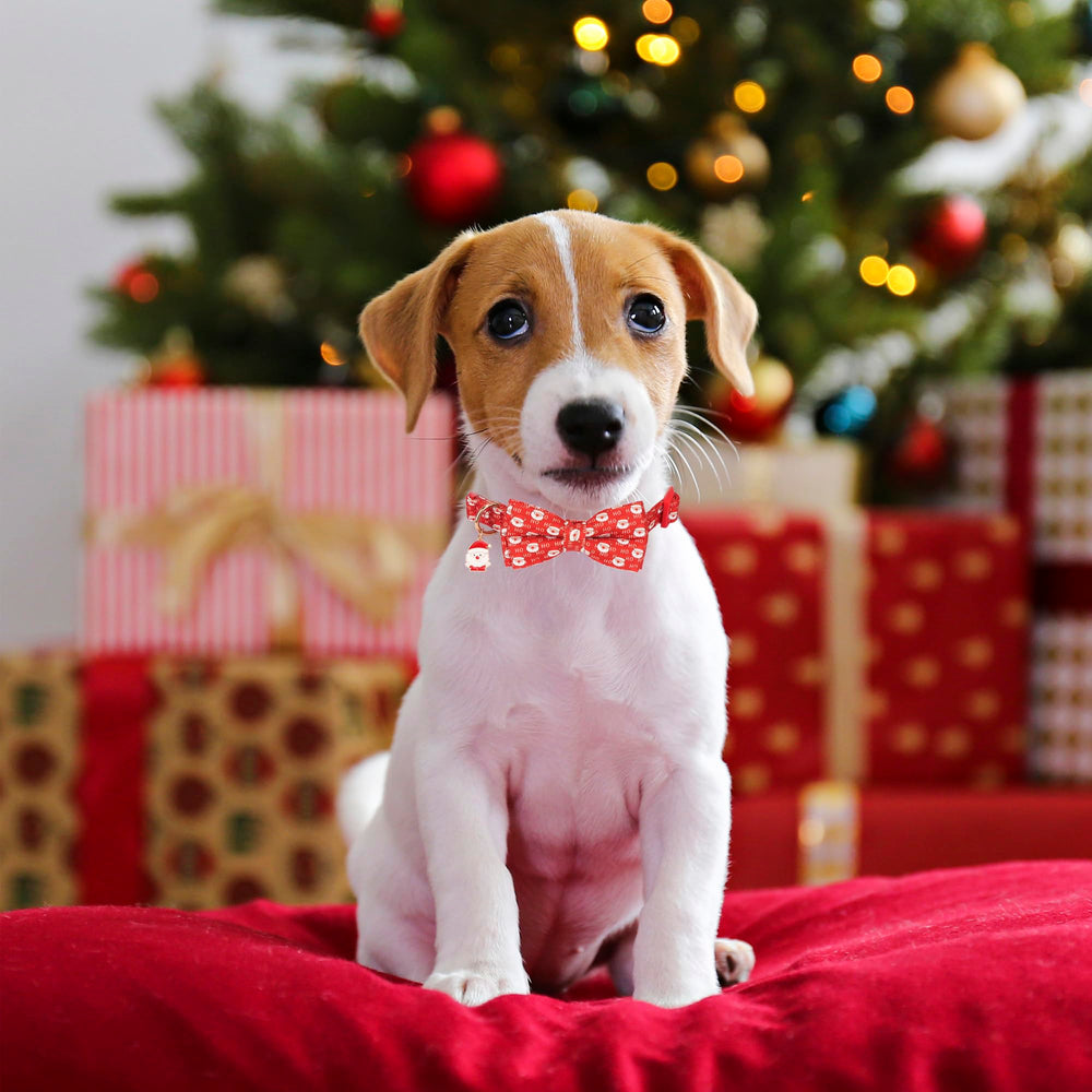 ADOGGYGO lazo desmontable en collar para combinar con otros collares