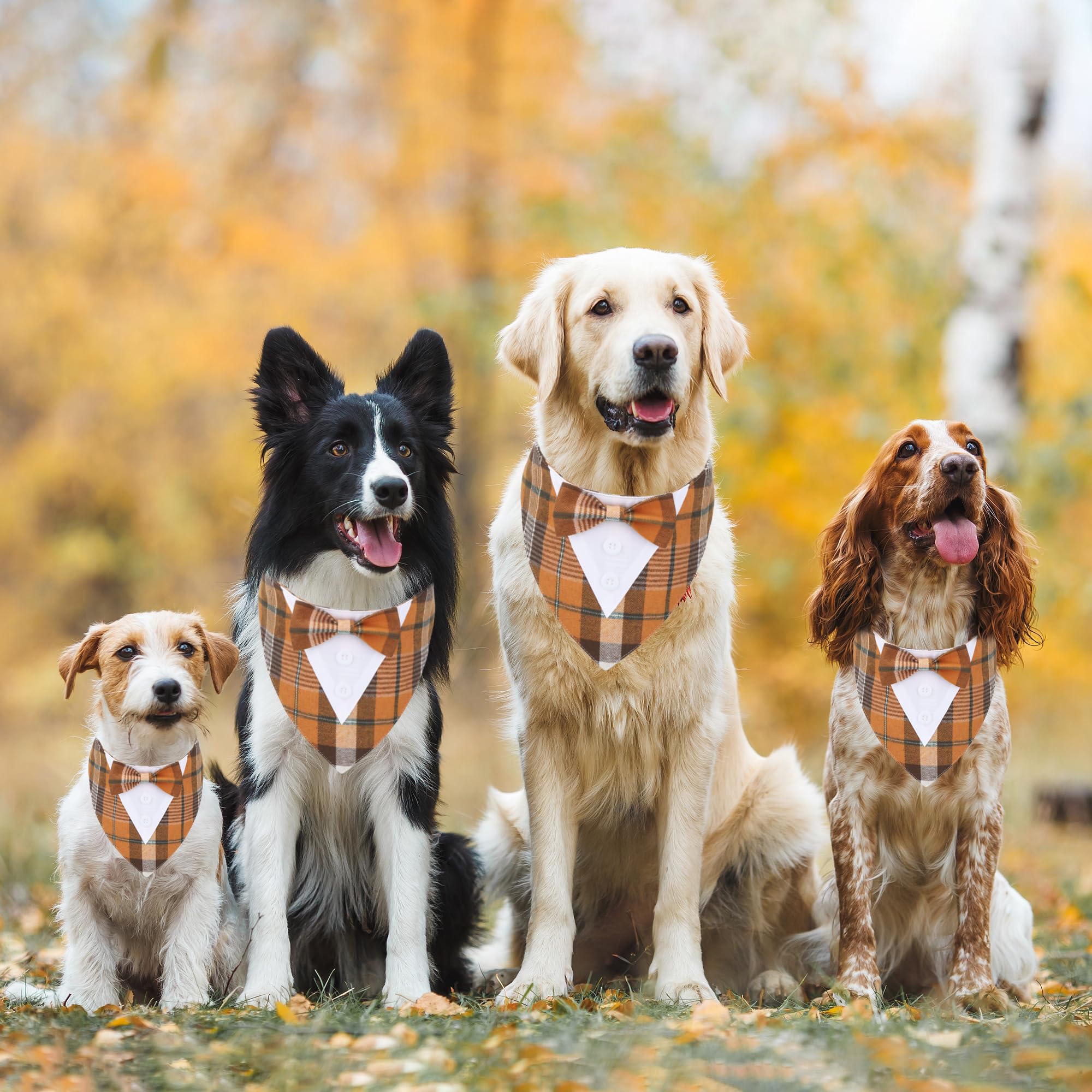 ADOGGYGO lazo esmoquin naranja para perros, ideal para fiestas de temporada.