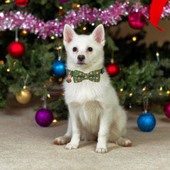 ADOGGYGO collar de poliéster suave para paseos navideños y cómodos