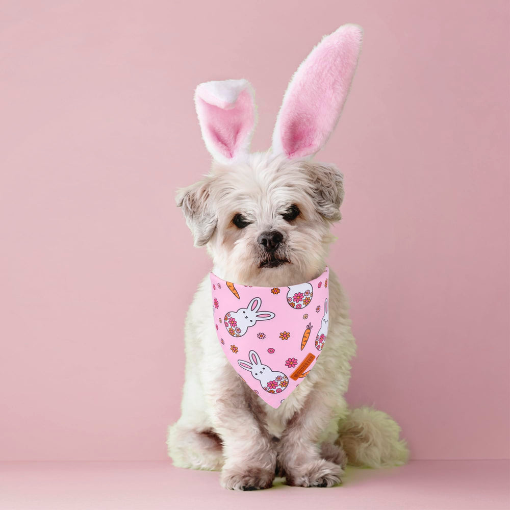 ADOGGYGO pañuelo de Pascua rosa con huevos, toque festivo.