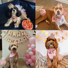 ADOGGYGO tutu-rosa-perro, añade movimiento y encanto durante la celebración