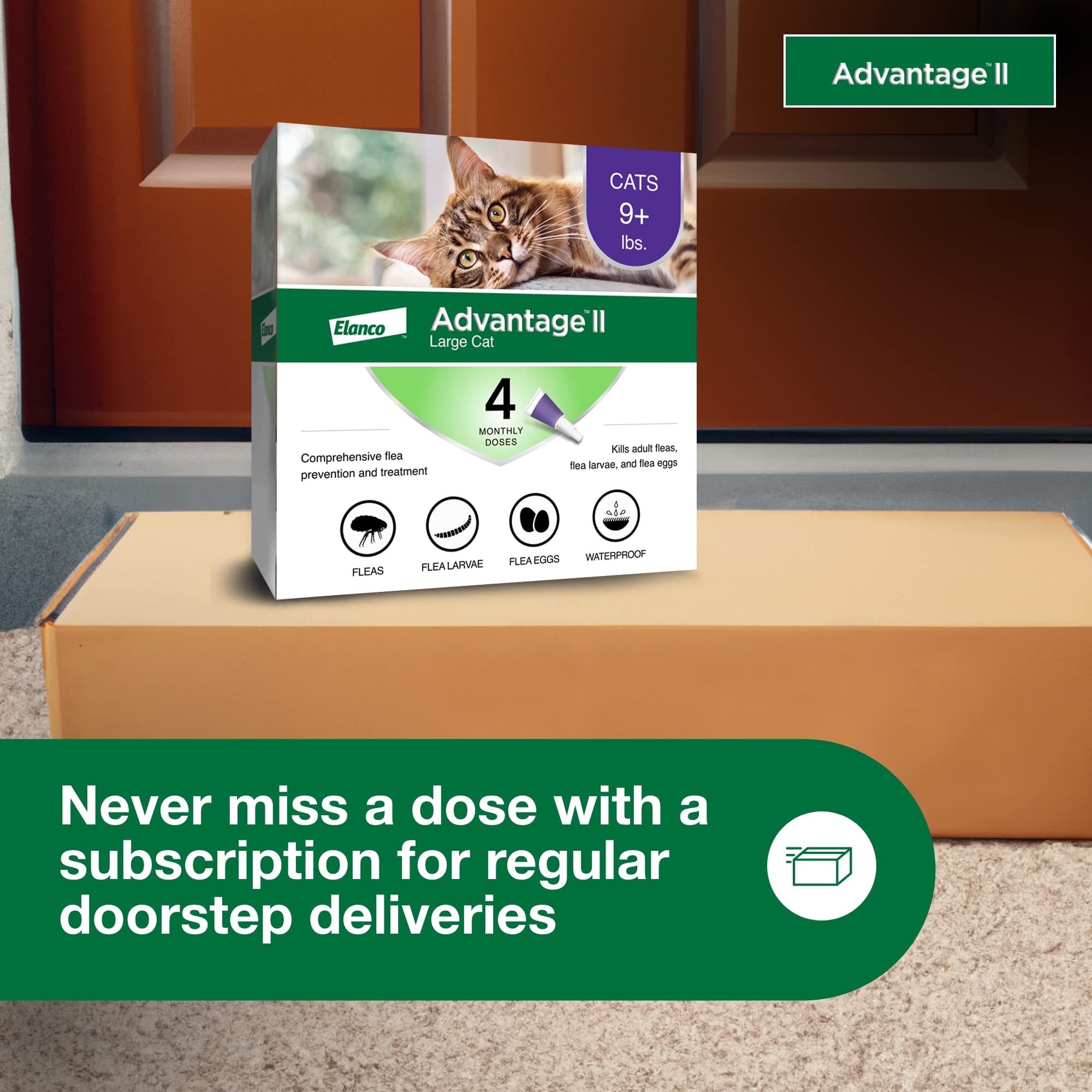 Advantage II Gato Grande 4 dosis premedidas para conveniencia