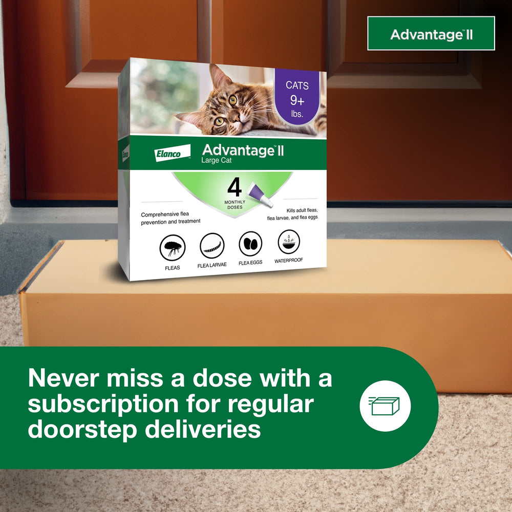 Advantage II Gato Grande 4 dosis premedidas para conveniencia