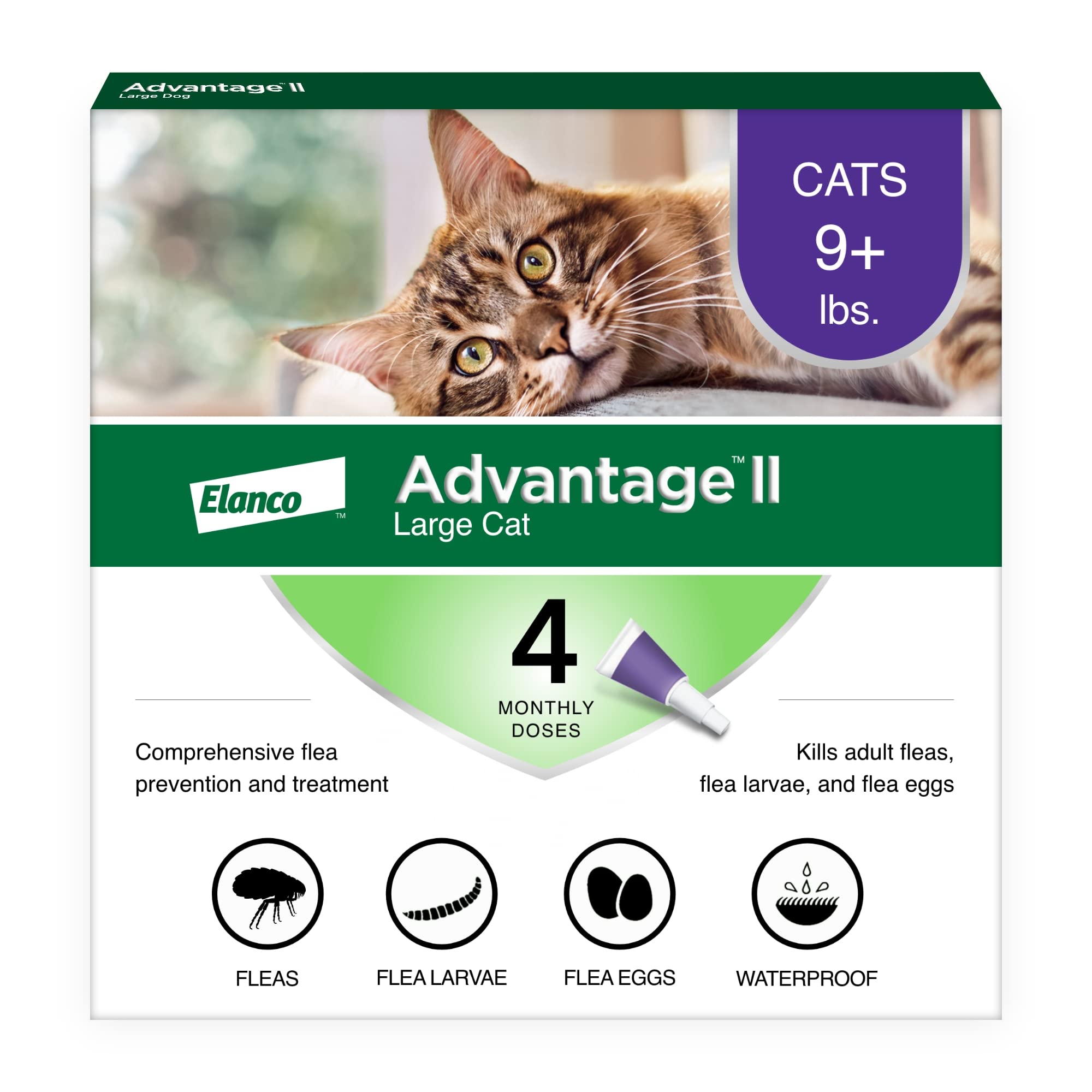 Advantage II Gato Grande envase y aplicador para uso rápido