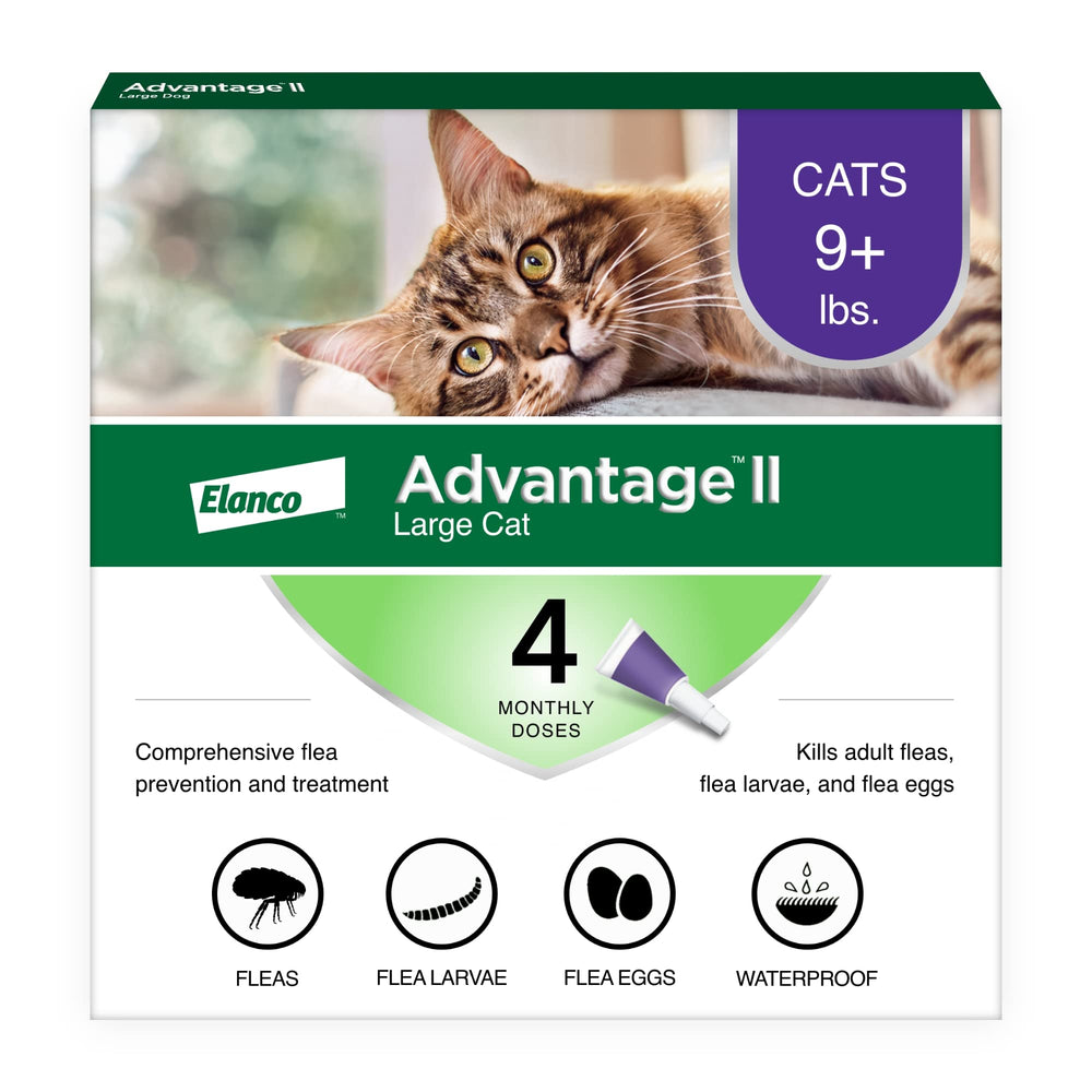 Advantage II Gato Grande envase y aplicador para uso rápido