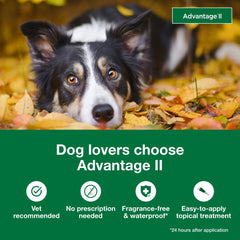 Advantage II para perro grande, protección de 30 días