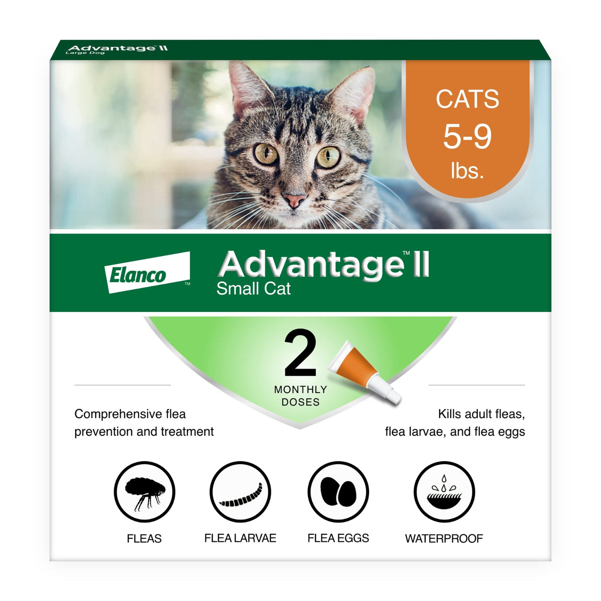 Advantage II para gatos pequeños mostrando aplicación en nuca y protección mensual posible.