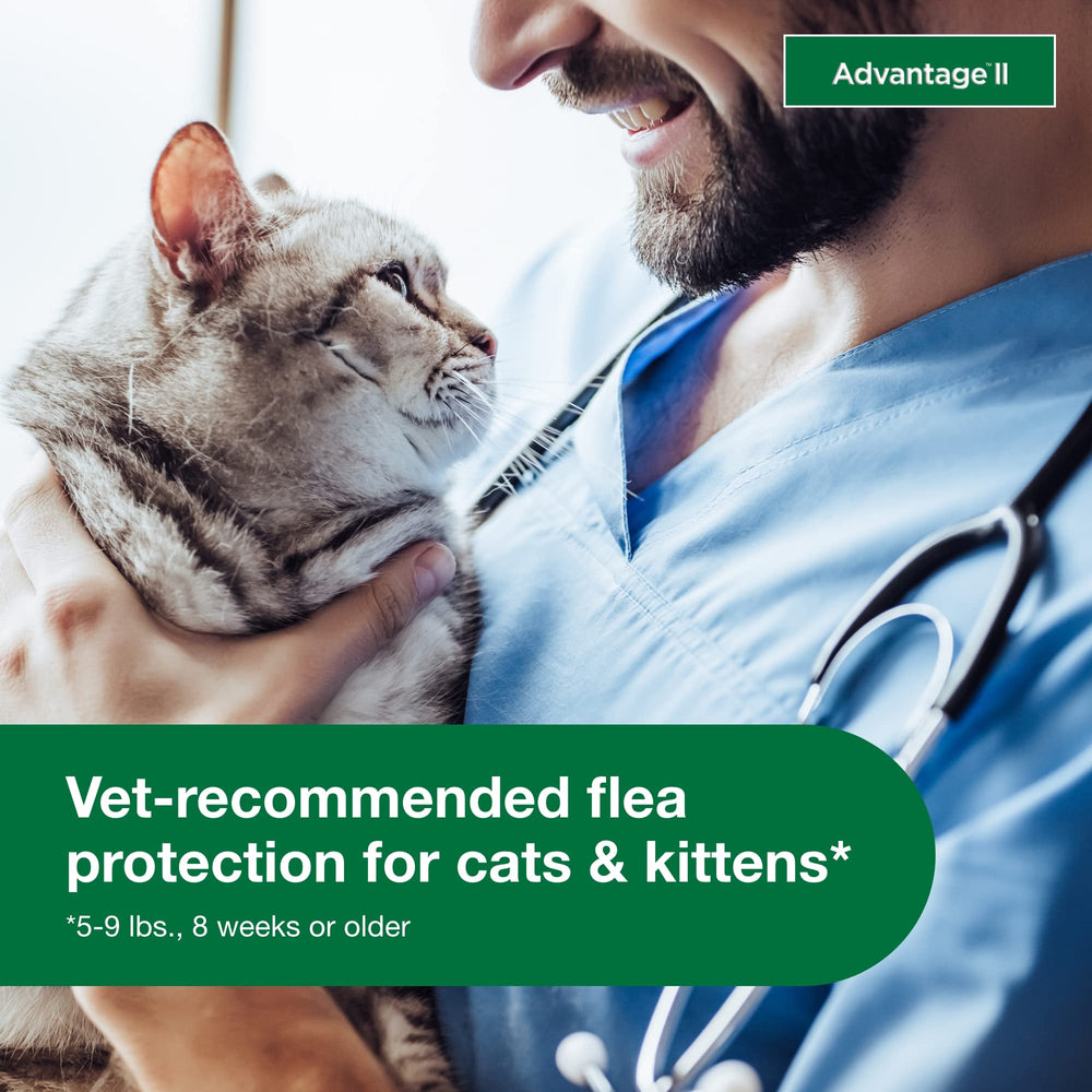 Fórmula sin fragancia de Advantage II para gatos pequeños.