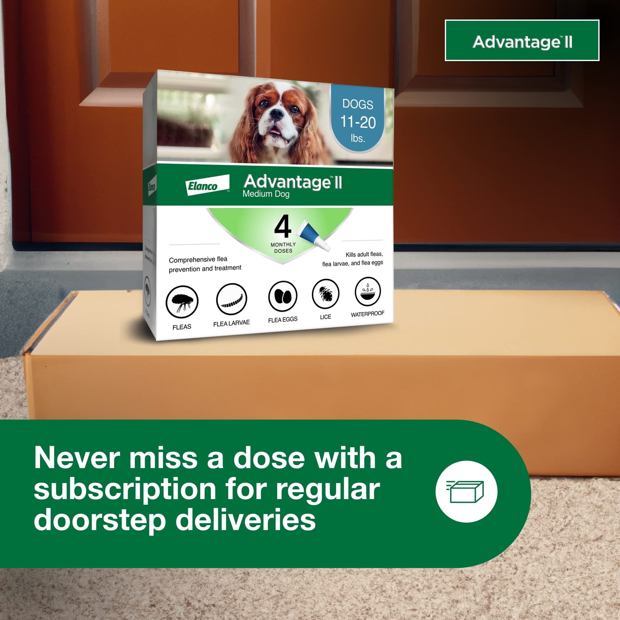 Advantage II para perros medianos: apto desde 7 semanas de edad.