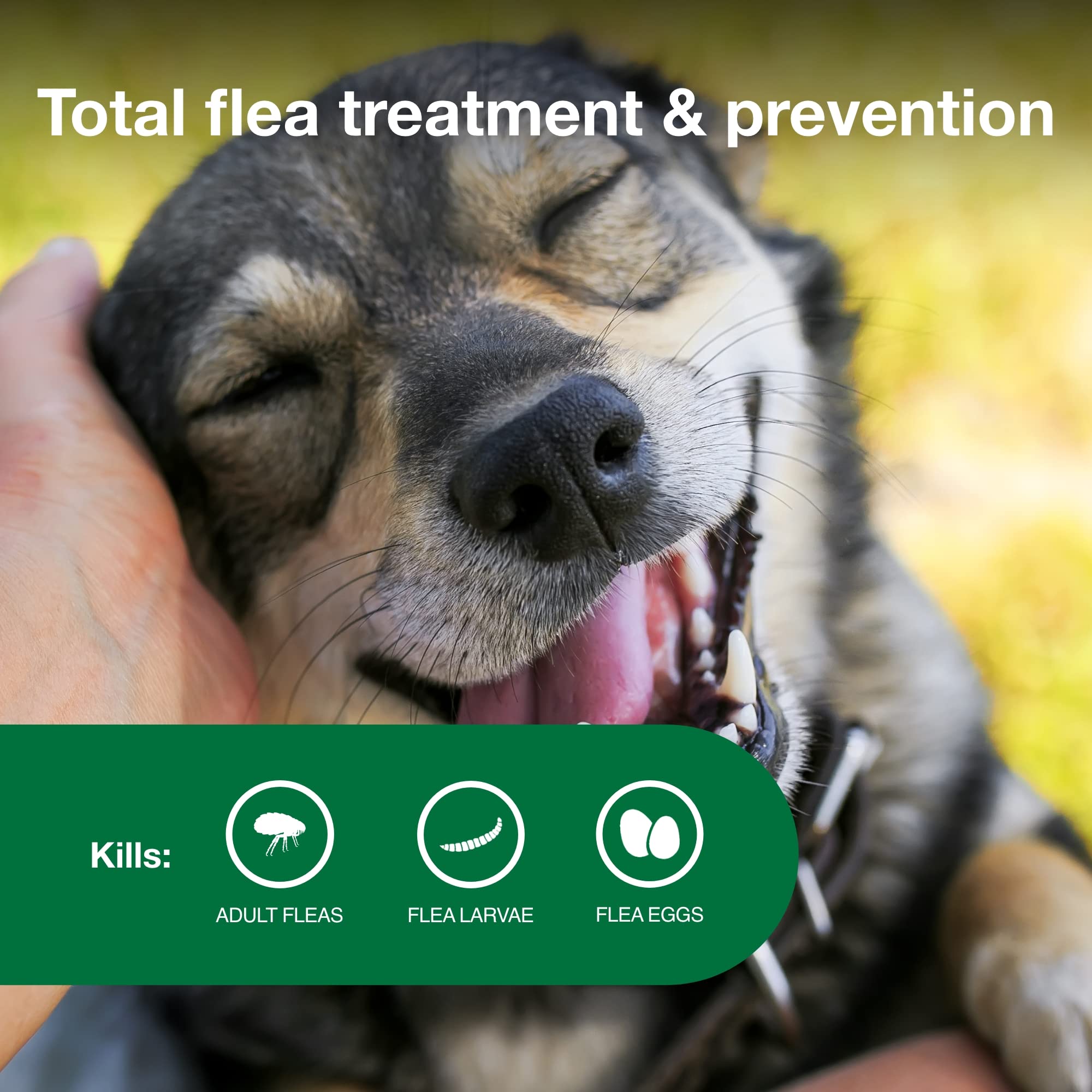 Advantage II para perros medianos: elimina larvas de pulga para interrumpir el ciclo.