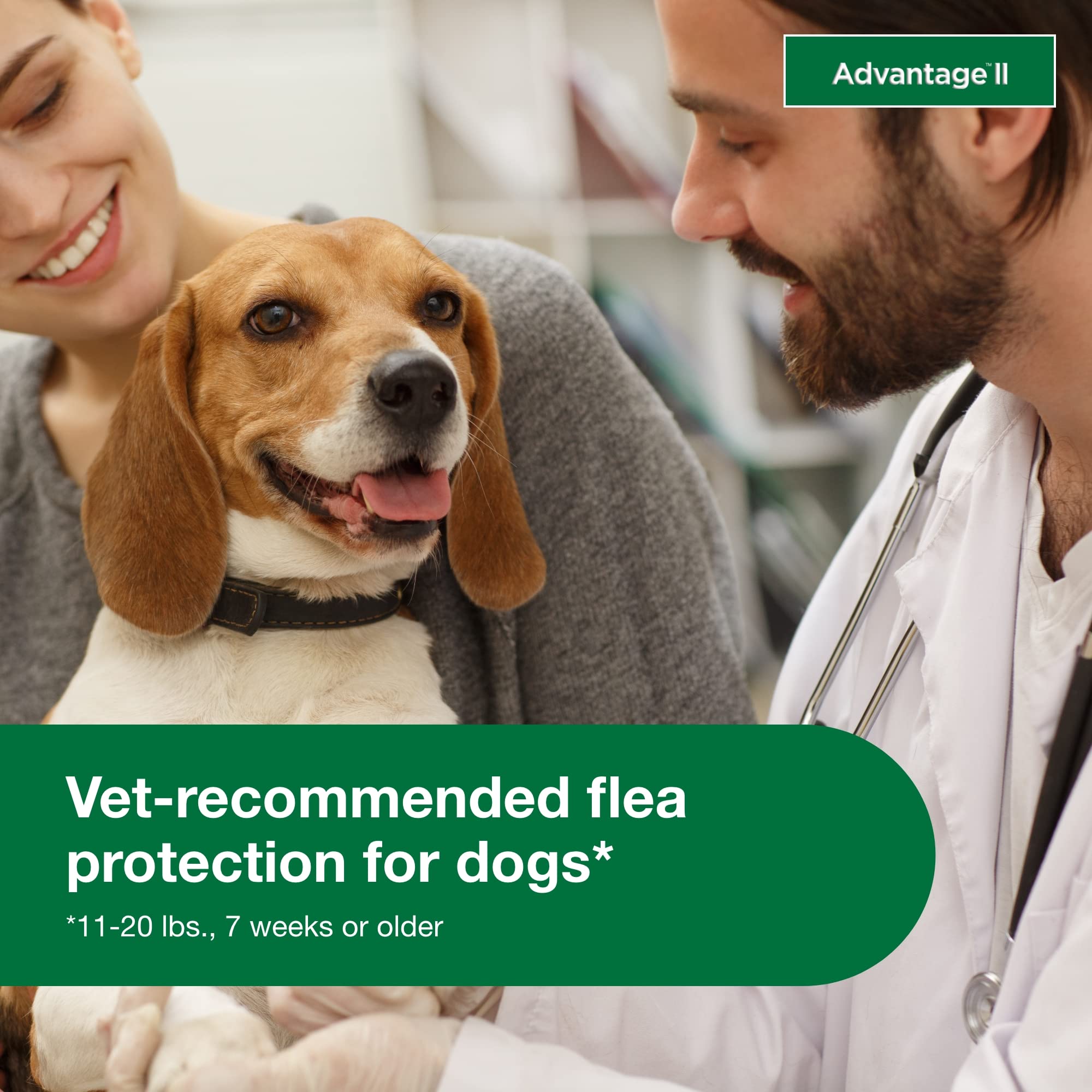 Advantage II para perros medianos: fórmula impermeable tras 24 horas.