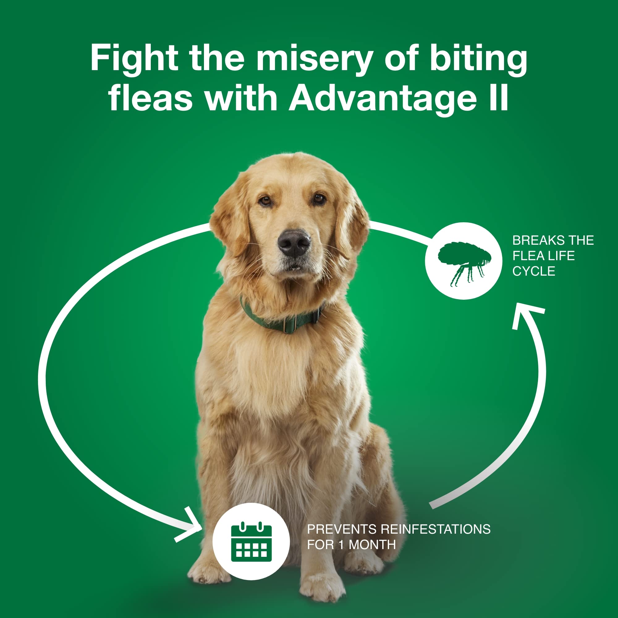 Advantage II para perros medianos: tratamiento tópico sin receta.