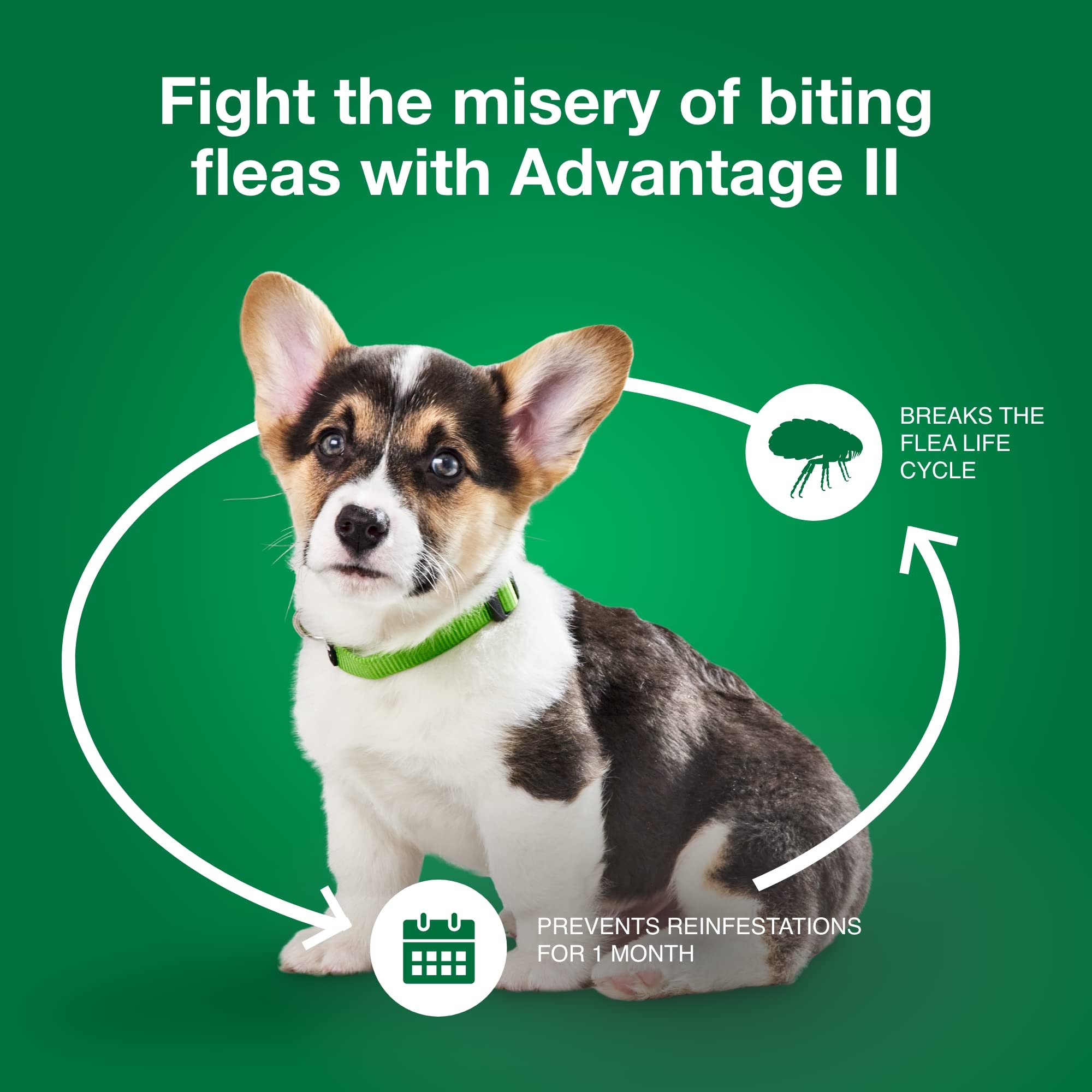 Advantage II, apto para uso en interiores y exteriores.