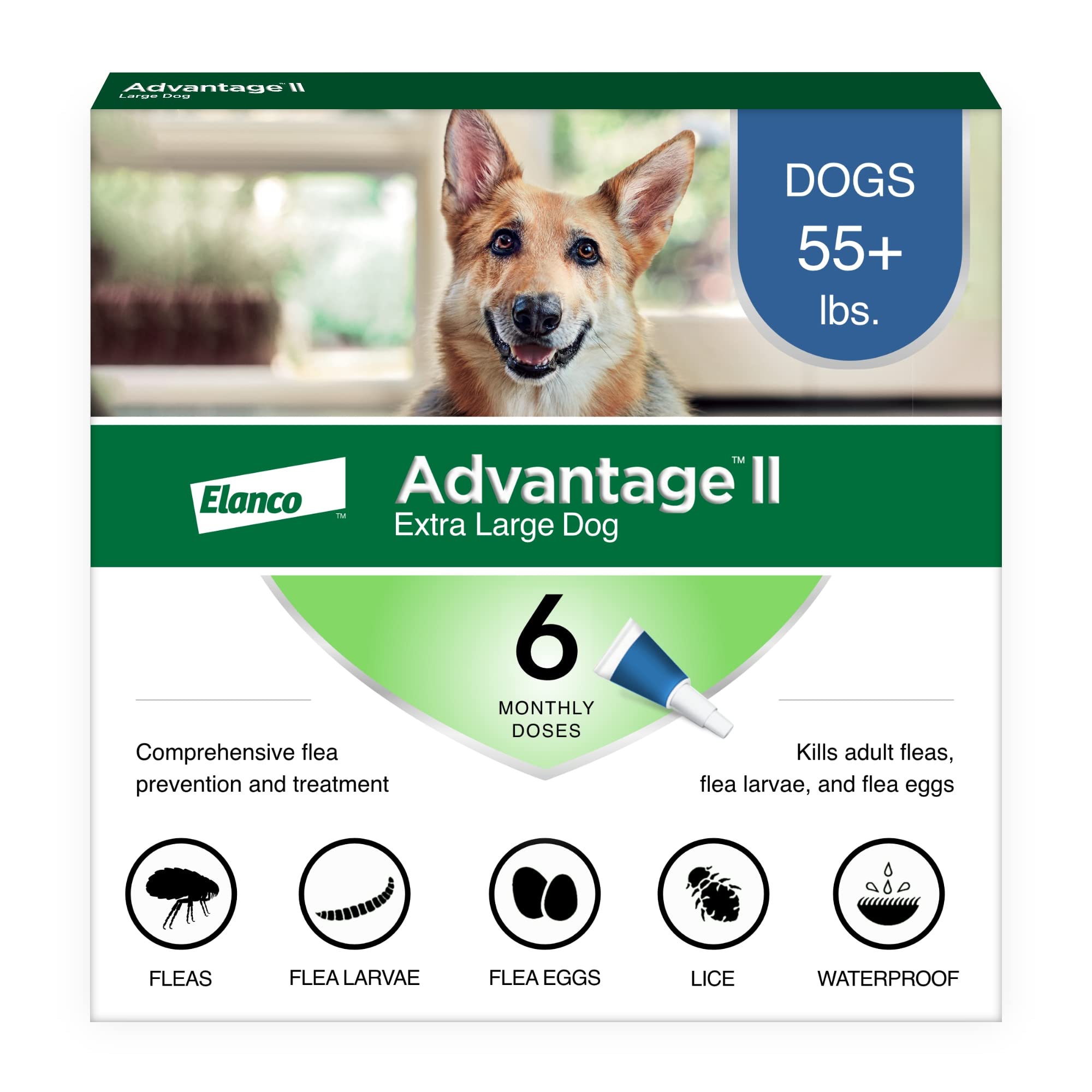 Advantage II XL en perro durante la aplicación rápida para control de pulgas