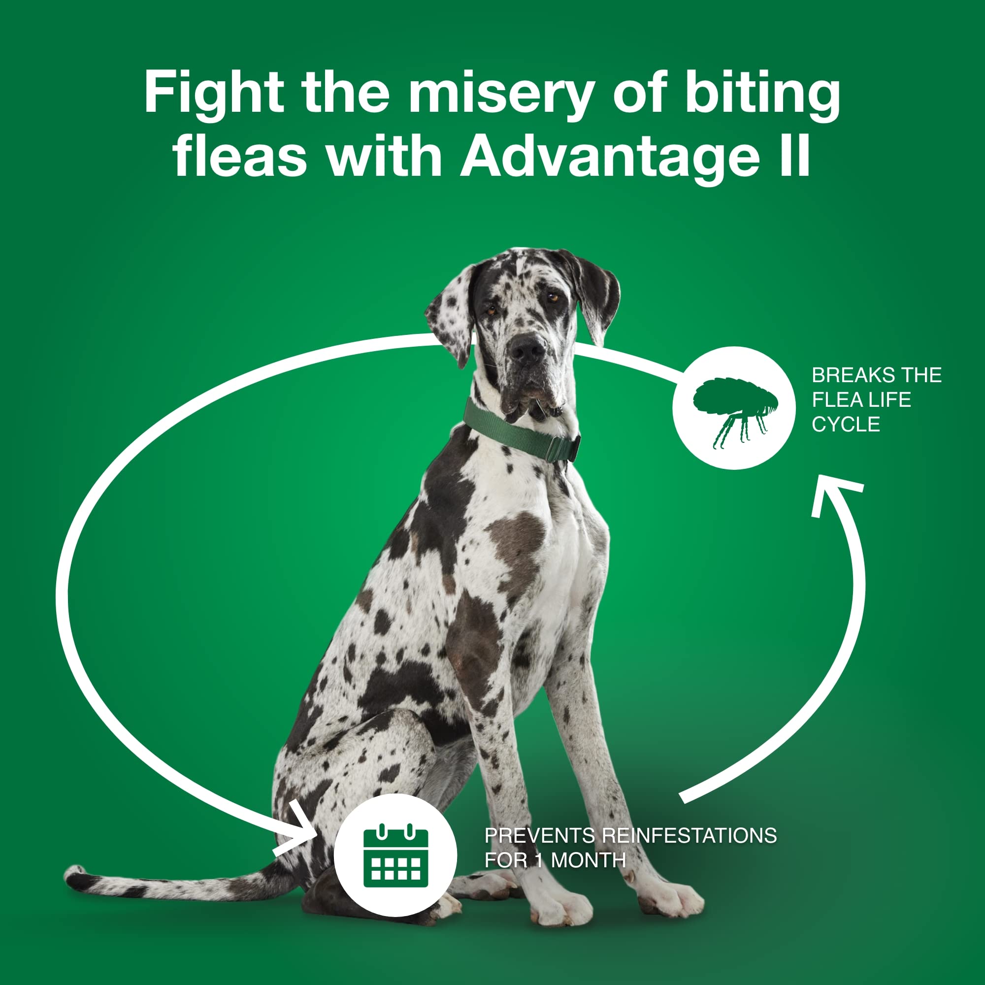 Uso interior y exterior con Advantage II XL para perros