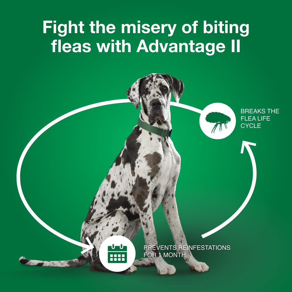 Uso interior y exterior con Advantage II XL para perros