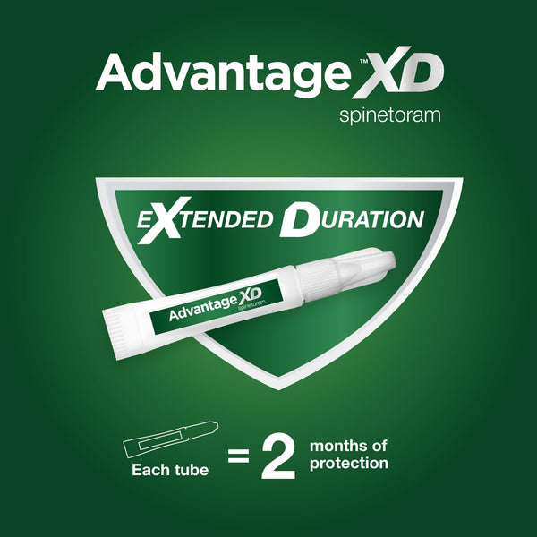 Advantage XD: paquete de 2 dosis para 4 meses de protección.