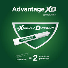 Advantage XD: paquete de 2 dosis para 4 meses de protección.