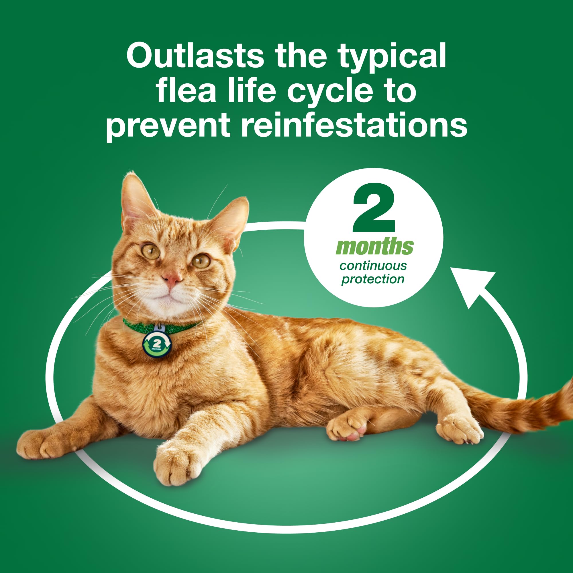 Opción sin receta de Advantage XD para cuidado felino