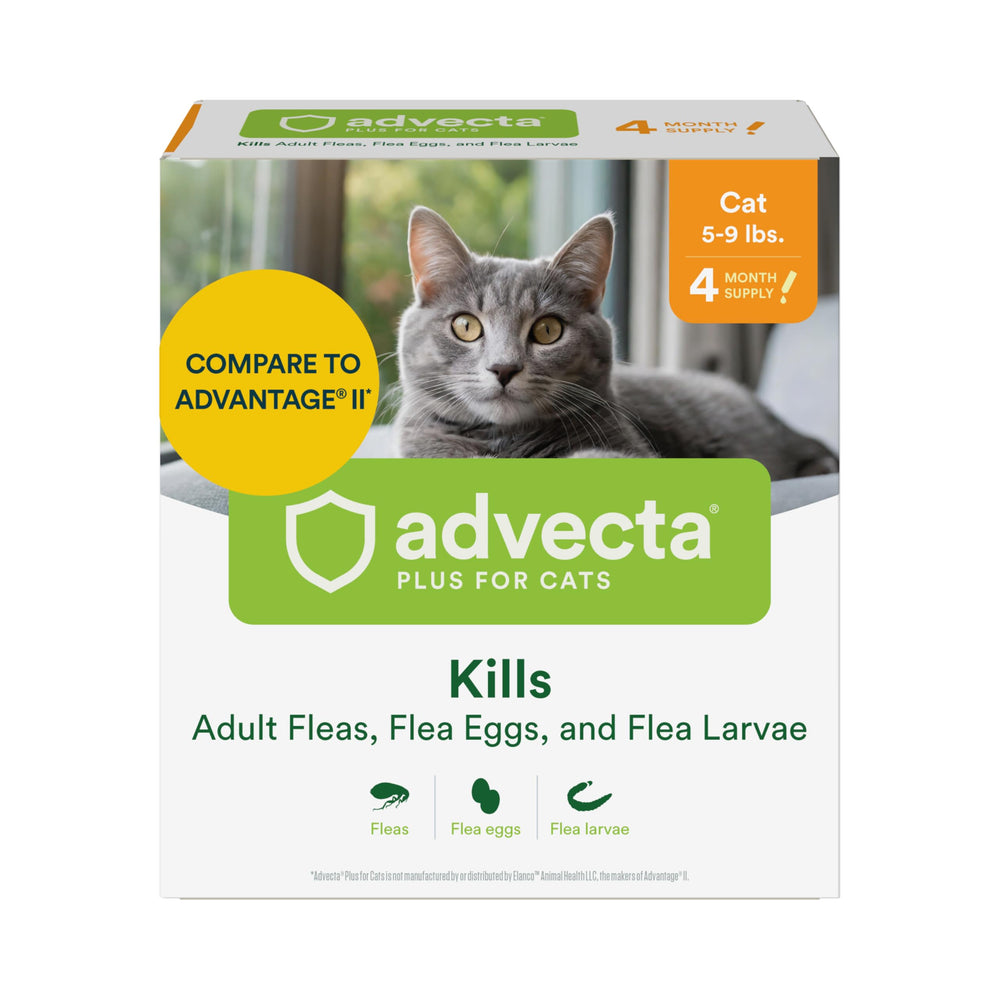 Advecta Plus frasco-aplicacion-gato: aplicación cómoda en la piel para controlar pulgas.