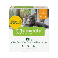Advecta Plus frasco-aplicacion-gato: aplicación cómoda en la piel para controlar pulgas.