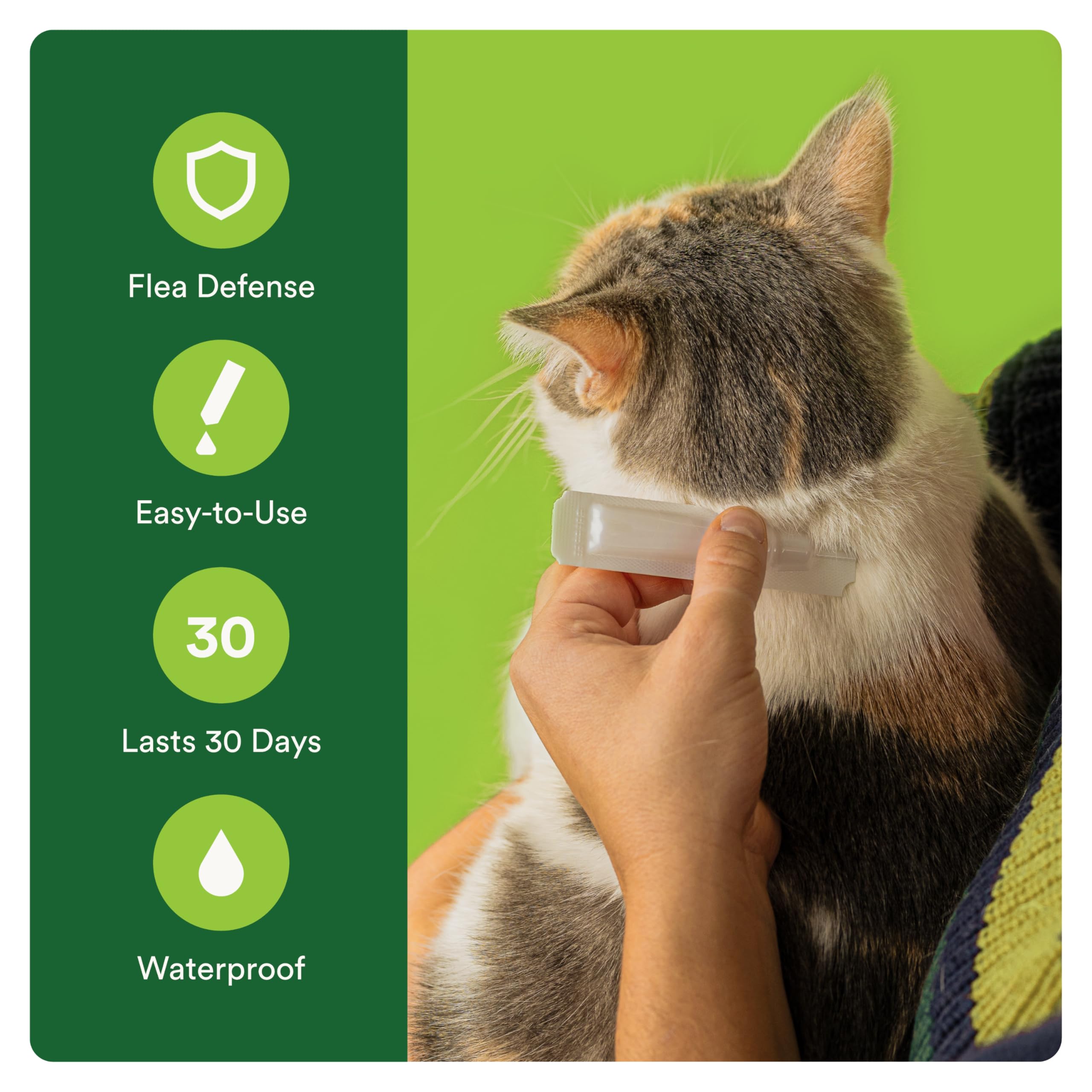 Advecta Plus uso-mensual-gatos-gatitos: protección continua para gatos y gatitos.