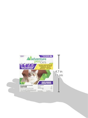 Adventure Plus seguro para gatitos de 8 semanas y más de 9 libras