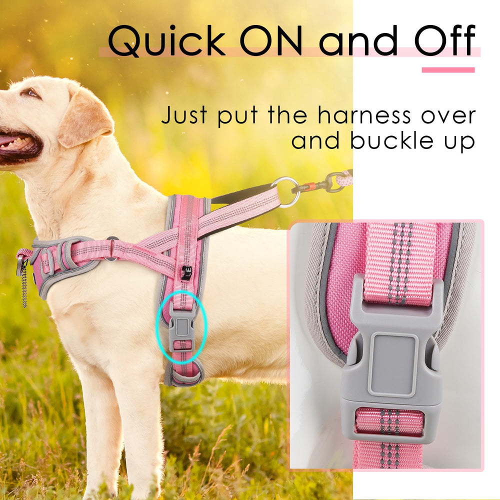 ADVENTUREMORE manija superior para un manejo preciso durante caminatas largas.