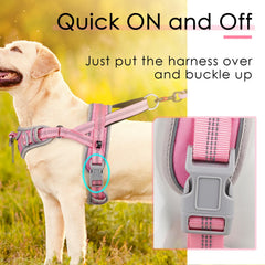 ADVENTUREMORE manija superior para un manejo preciso durante caminatas largas.
