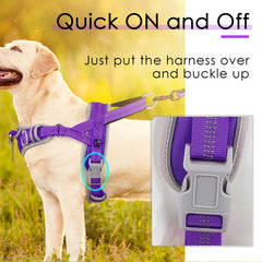 Arnés transpirable ADVENTUREMORE para perros grandes
