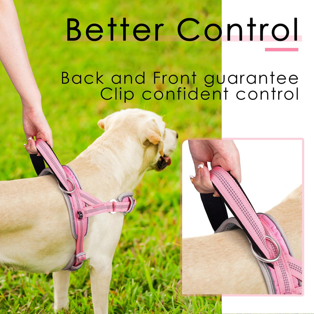 ADVENTUREMORE ajuste XXL compatible con Labrador y otras razas grandes.