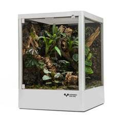 ADVINCI terrario reptil 12x12x16, vista frontal clara para observar movimientos
