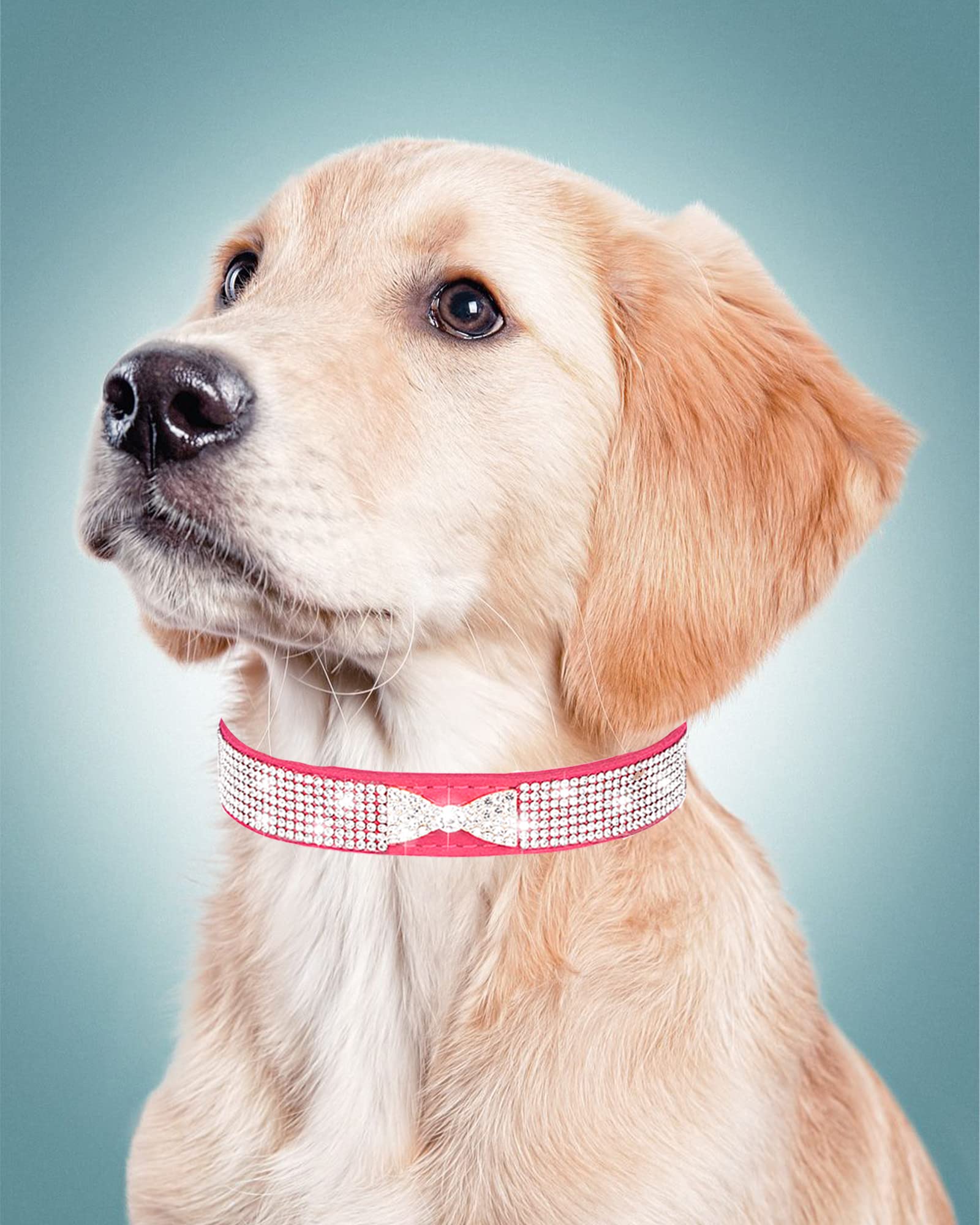 Aecllcea collar para perro pequeño con ajuste rosado y cinco ojales para mayor seguridad.