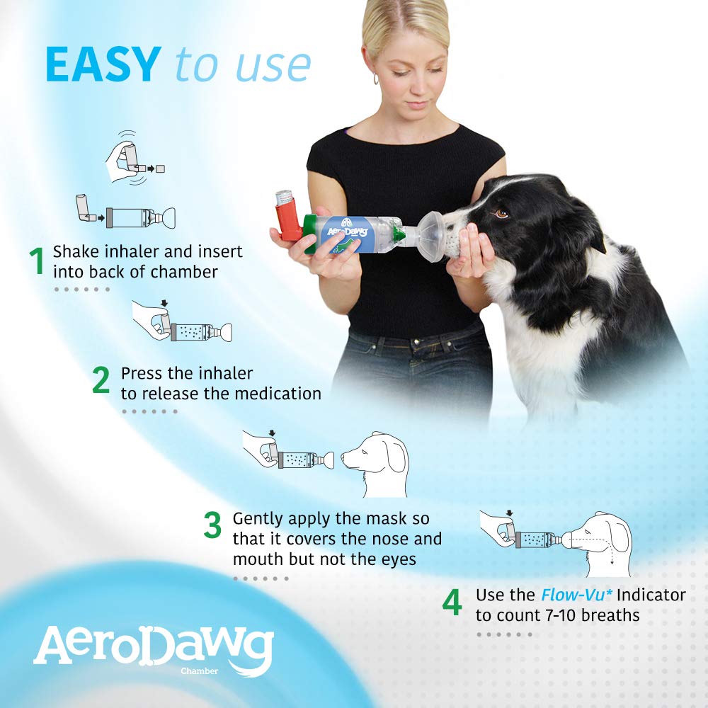 AeroDawg dos mascaras para perros pequenos, adaptacion sencilla