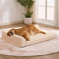 Cama Aeroluxe para perro grande con espuma ortopédica que distribuye el peso.