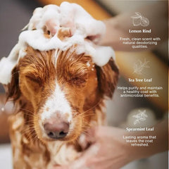 Aesop Champú para mascotas, ingredientes cítricos destacados, aroma fresco.