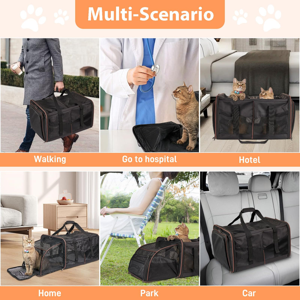 A.FATI transportín doble para gatos con divisor extraíble para uno o dos felinos.