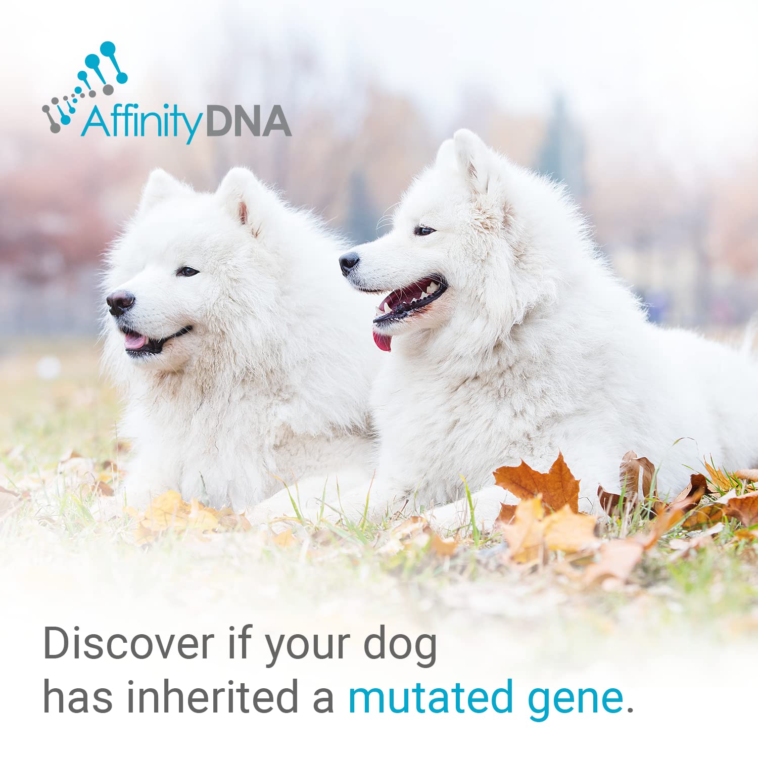 Resultados de AffinityDNA en siete días hábiles para DM.