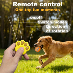 Affiuya bola para perro rueda y vibración para movimiento activo.