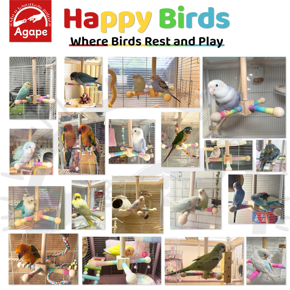 Agape dimensiones 9x9x8.5 pulgadas, tamaño adecuado para aves pequeñas y medianas