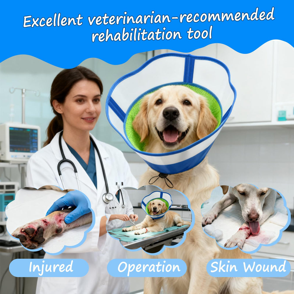Cono Agemin recomendado para cuidados diarios y posoperatorios en perros.
