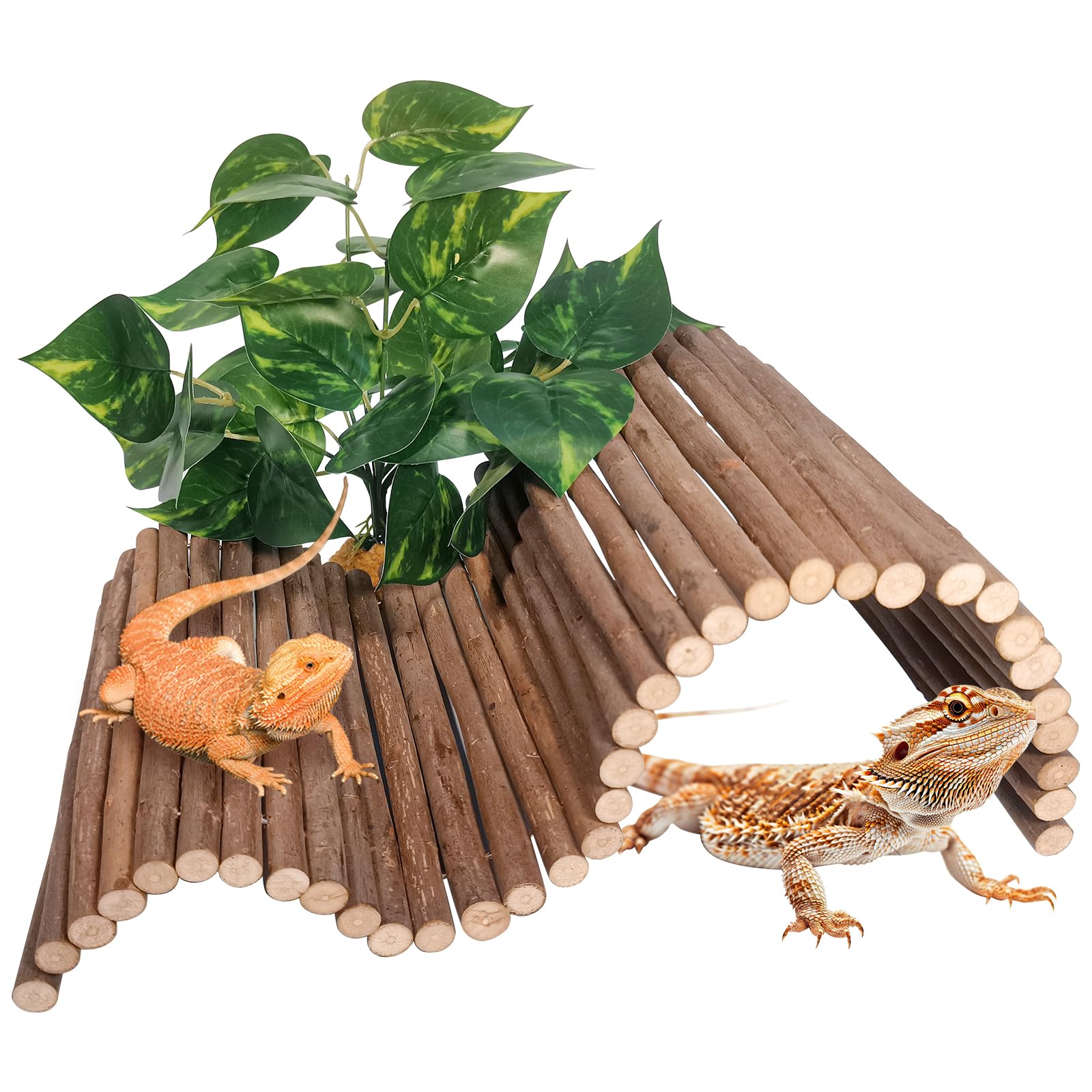 AGGQQA puente de madera para reptiles, ideal para escalar y explorar el terrario.