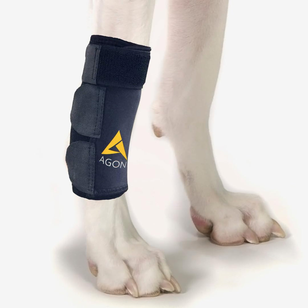 Agon Dog Front Leg Brace para la pata delantera brinda compresión estable para la movilidad.