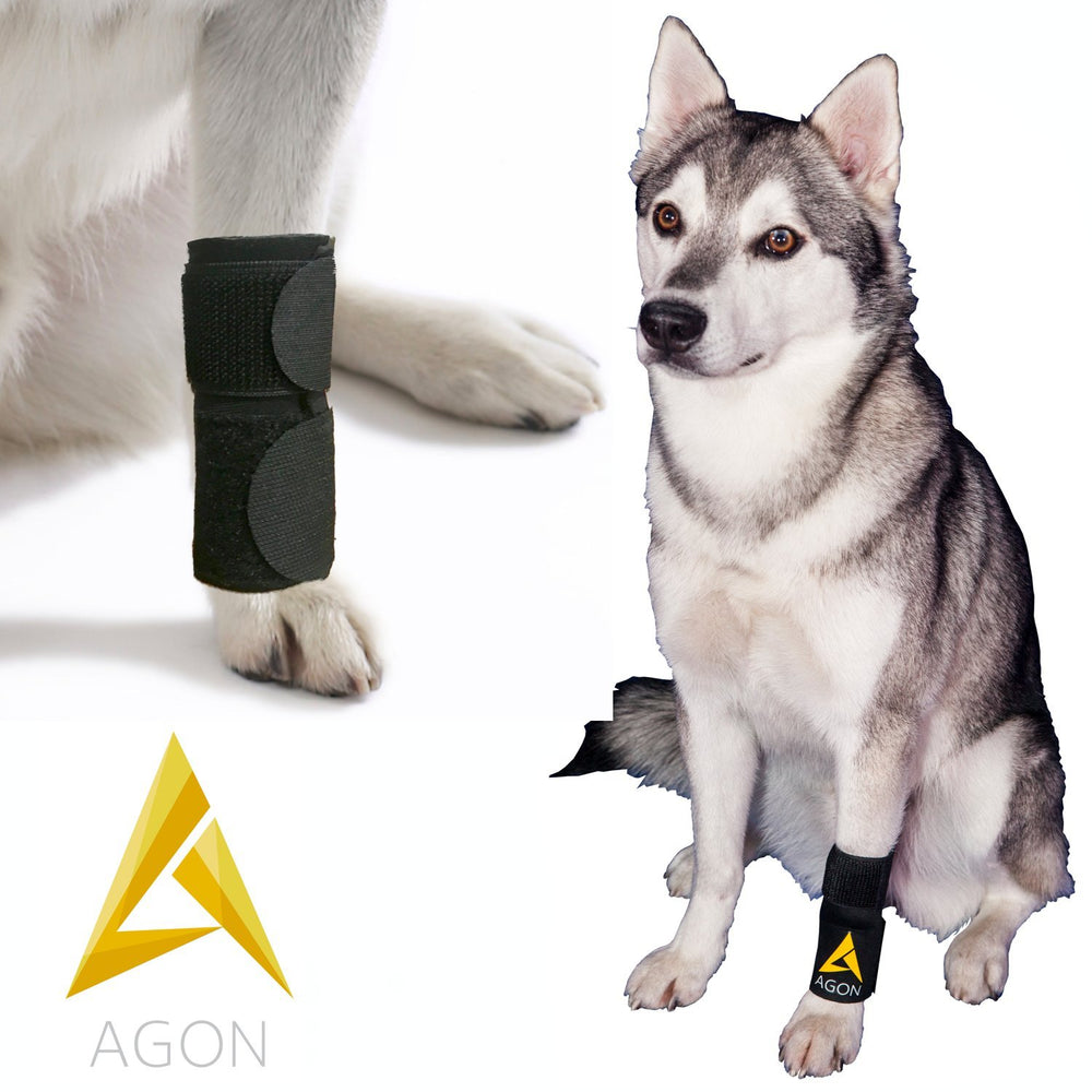 AGON perro protección de pata para recuperación y confort