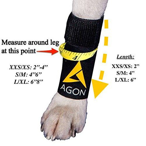 Tallas disponibles grandes para perros grandes y XL.